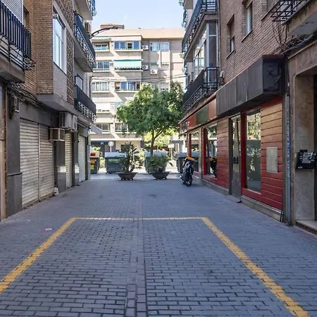 Maestro Boutique דירה
